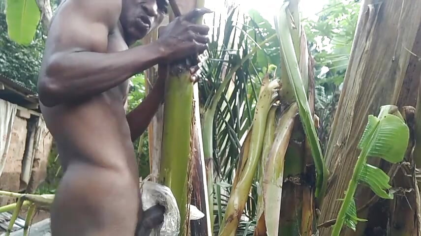 Man all alone In the Forest and make the plantain tree is wife and Fuck on it